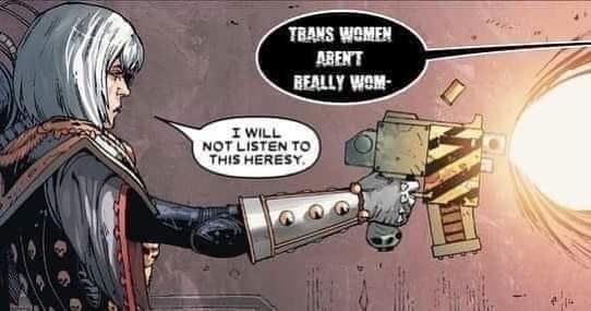 A sister of battle with a white bob and form fitting power armor fires a bolt pistol at a person off screen. The off screen person is saying "Trans women aren't really wom-" before being cut off by a boltround to the face. The sister of Battle says "I will not listen to this heresy". The image is a realistic cartoon style with soft colors and sharp linework.