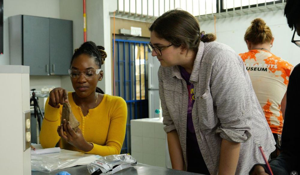 Preparator Connie Clarke examines fossils with a colleague at UWI Zoology Museum in Trinidad.