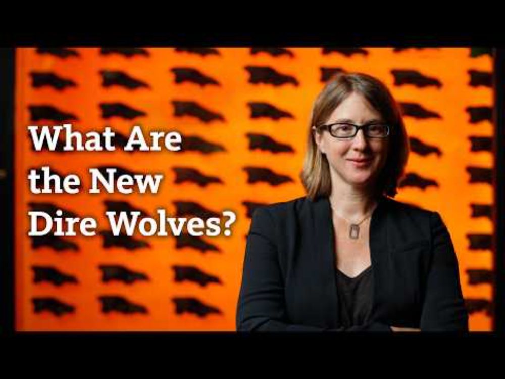 Are Dire Wolves Back? with Dr. Emily Lindsey