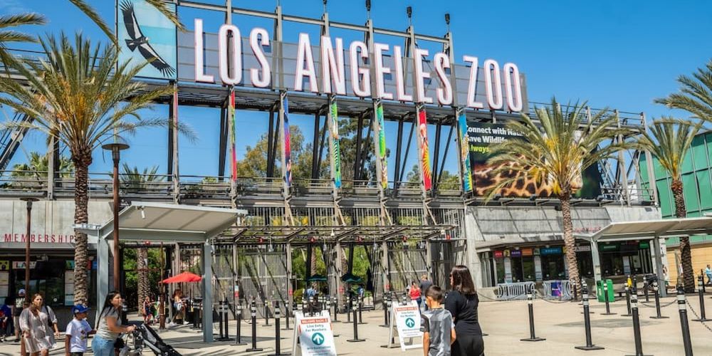 The decorative entrance of Los Angeles Zoo adorned with colorful banners, palm trees, sunshades, patrons, and more.