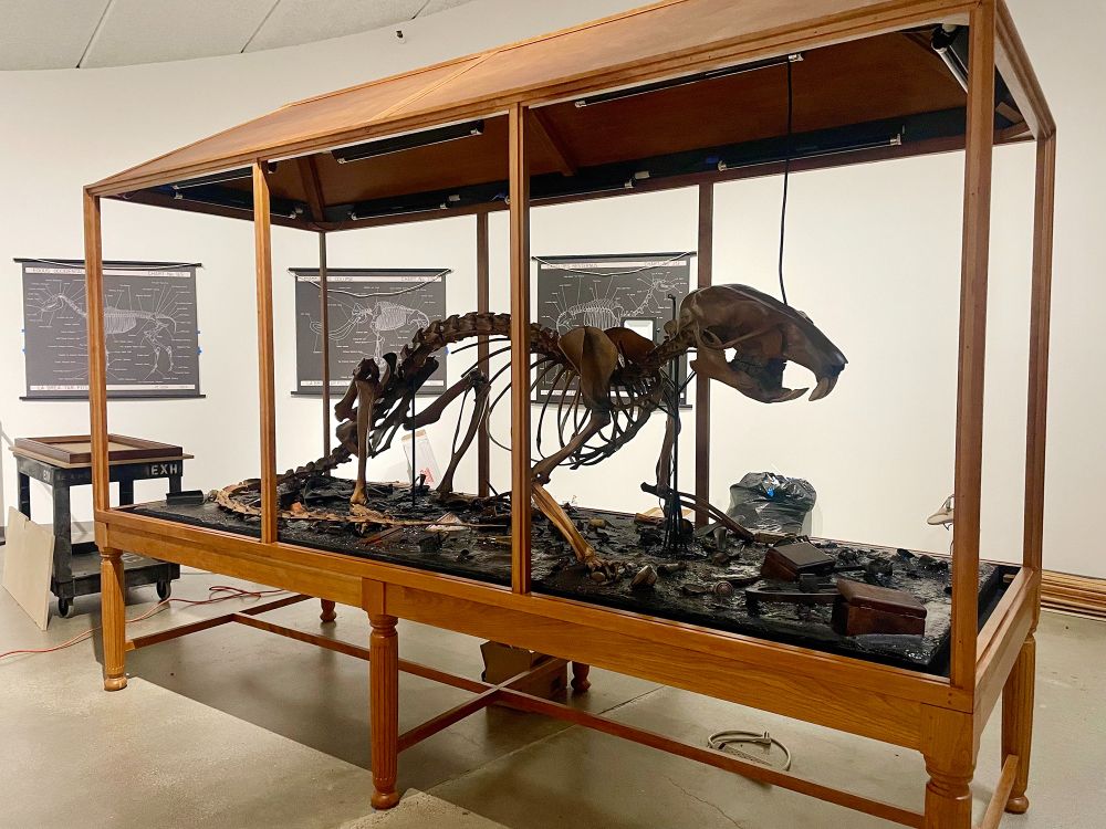 The La Brea "pack rat" reimagined by Artist Mark Dion, on view at La Brea Tar Pits & Museum through September 2025.