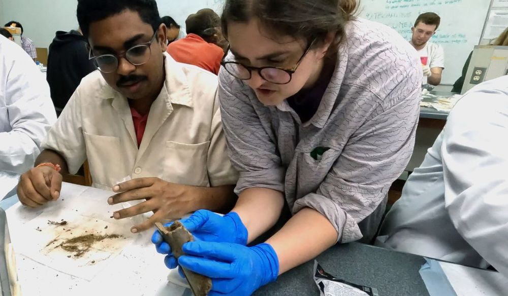 Preparator Connie Clarke examines fossils with a colleague at UWI Zoology Museum in Trinidad.
