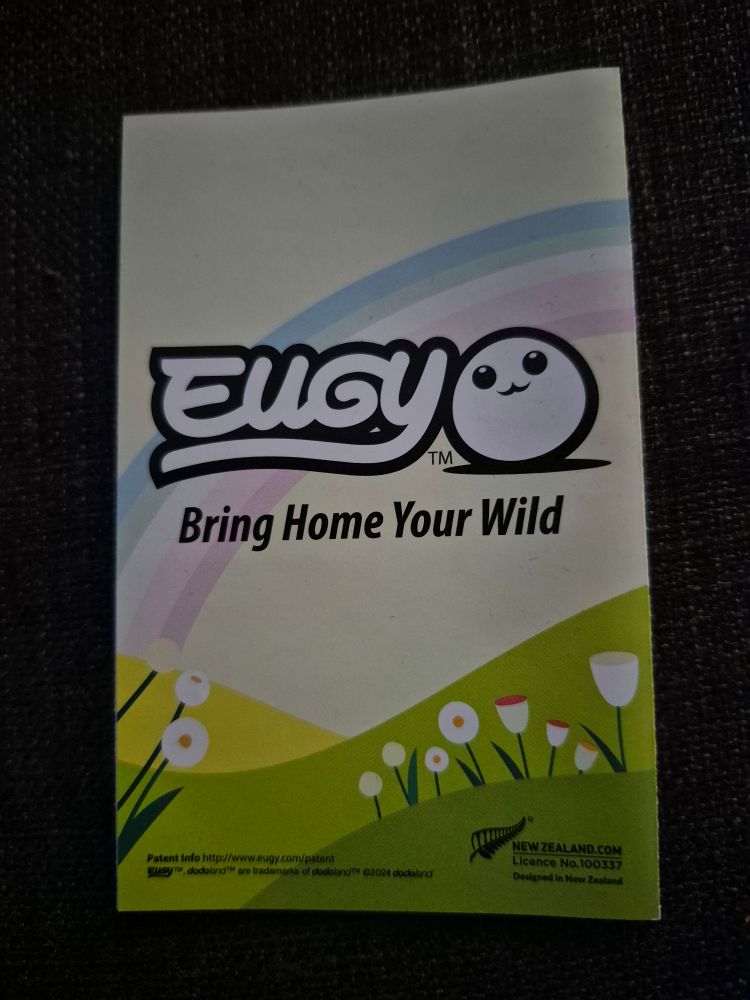 Brochure of the cardboard birds