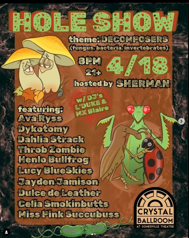 Flyer for hole show on April eighteenth at the crystal ballroom in Somerville MA, featuring fun illustrations of two horny mushrooms and a bug threesome, plus the drag cast.