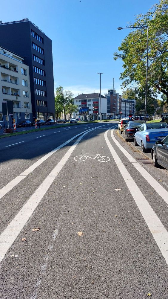 Spur für Radlys auf der Straße. Doppelte durchgezogene Linien rechts und links. Rechts parken dennoch Autos.