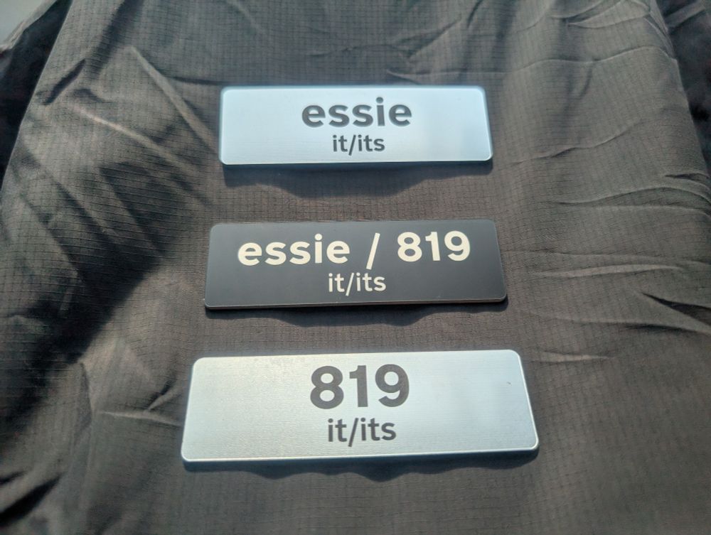 Three nametags with magnet clasps at the back are attached to a waterproof jacket. The first, silver with black text, says "essie" in lowercase, and underneath it, the pronouns it/its. The second, black with white text, says "essie, slash, eight one nine", and again, it/its pronouns. The third, silver with black text, says "eight one nine" and adds it/its pronouns at the bottom. 