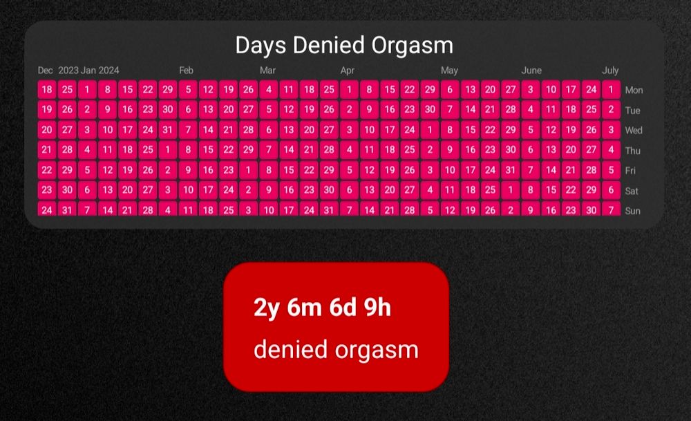 screenshot of two trackers on a phone screen. the top one marks a pinky red square on each day the slave did not have an orgasm, and is only visible back to December 16 2023. a second counter says two years, six months, six days, and nine hours denied orgasm.