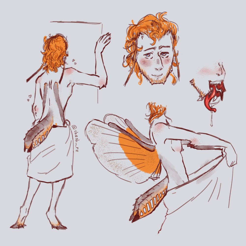 Several somewhat colored sketches of a frankly beautiful buggy man. He's a lanky ginger with a jaw that splits and the wings, antennae, and abdomen of a stickbug. The sketch on the left showcases a fullbody from behind with him wearing nothing but a towel and leaning against a doorframe. The top right one shows off his heart melting smile and pretty blue eyes, and a smaller sketch showcases the way his jaw splits. The bottom right sketch displays what his wings look like when they're open.