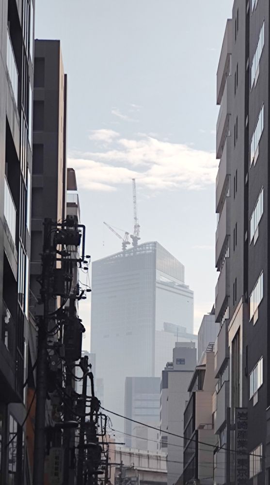 A tall tower rises in the background against a typically chaotic Tokyo cityscape.

Gozilla plants cabbages on the shores of Tokyo Bay.
