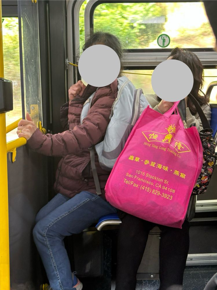 Two stubborn ladies fighting over a San Francisco bus seat.
