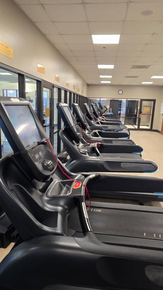 Entire row of empty treadmills