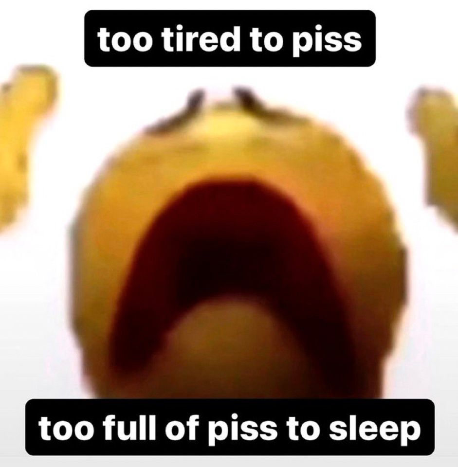 Crying emoji with text: too tired to piss too full of piss to sleep 