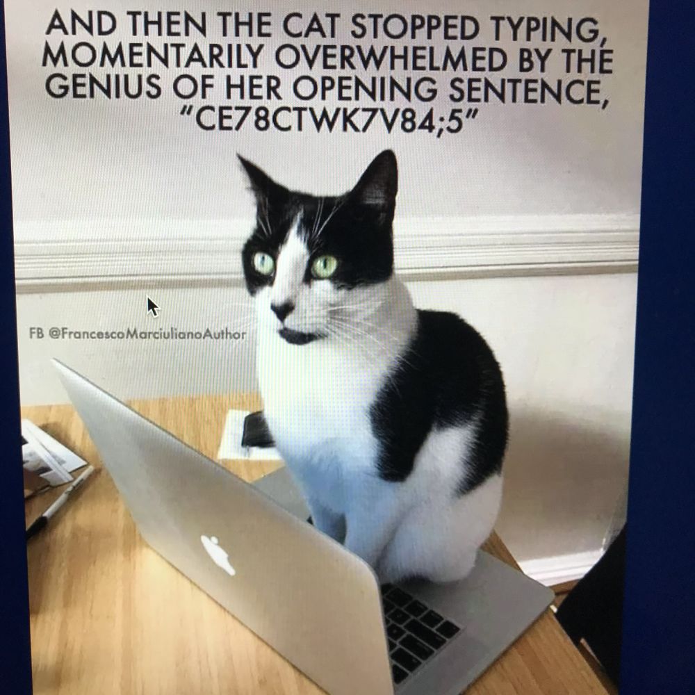 Comment image