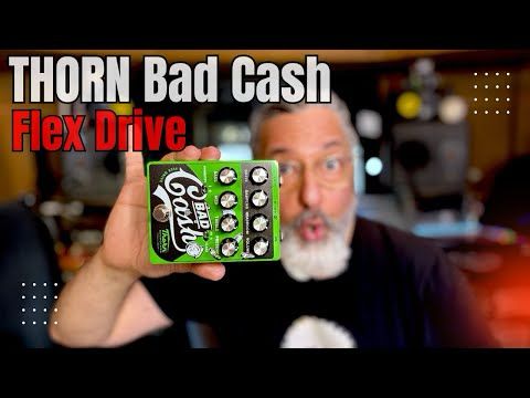 @ThornSoundlabsOfficial Bad Cash - Flex Drive #osmator #ossypfeiffer #mehrbrettnummern