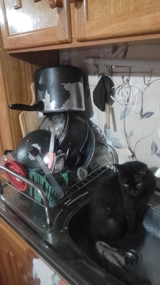 simplesmente ela ✨