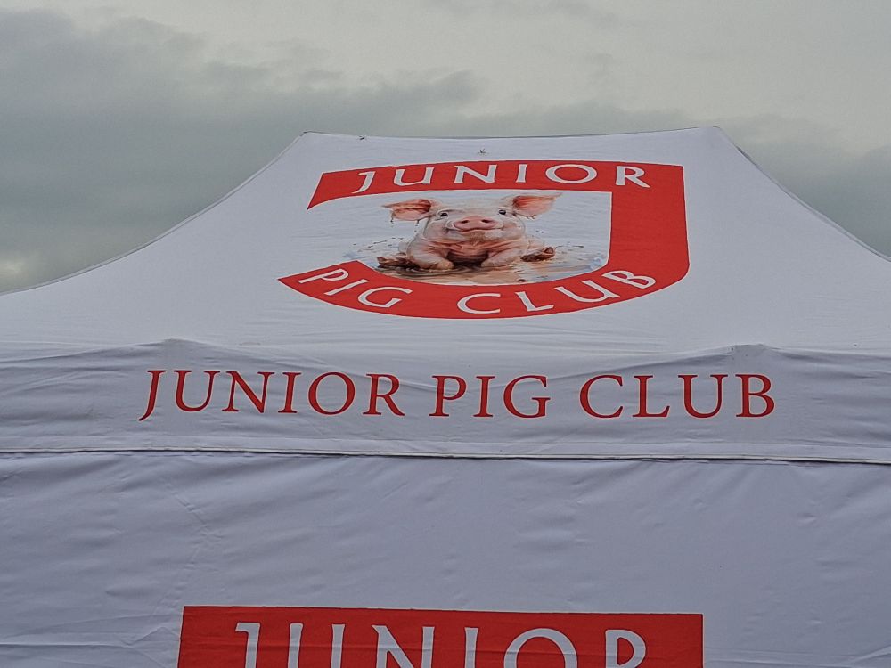 A marquee liberally covered with the logo 'Junior Pig Club' and a picture of a Pig face.