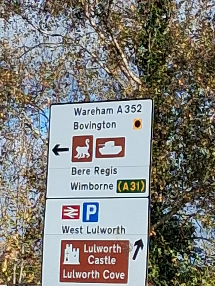 A road sign. As well as various Dorset place names, there is an image of a tank pointing its gun at a monkey's bottom.