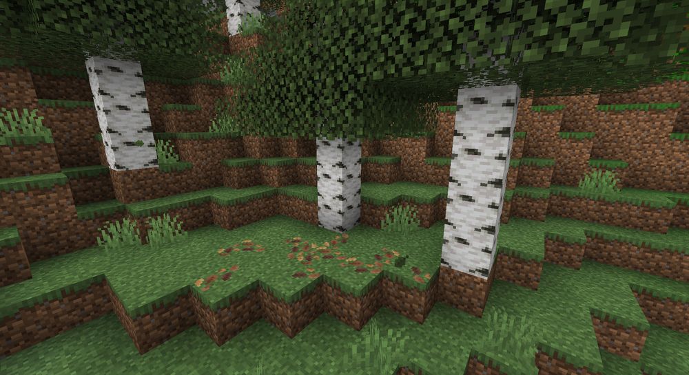 Screenshot of Leaf Litter placed in a Birch Forest biome.
