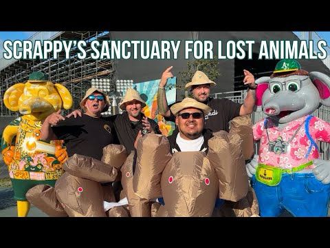Introducing Scrappy Sanctuary for Lost Animals 🐘