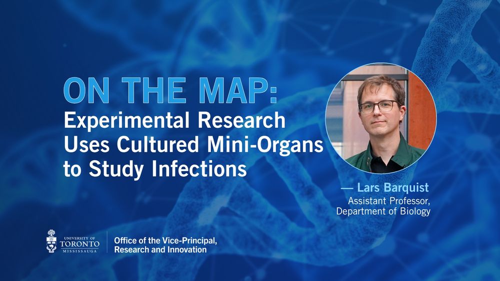 Prof. Lars Barquist. Story title: One the Map: Experimental Research Uses Cultured Mini-Organs to Study Infections 