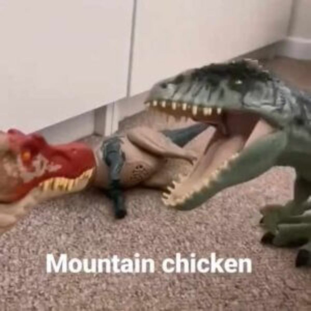 Mountain Chicken!