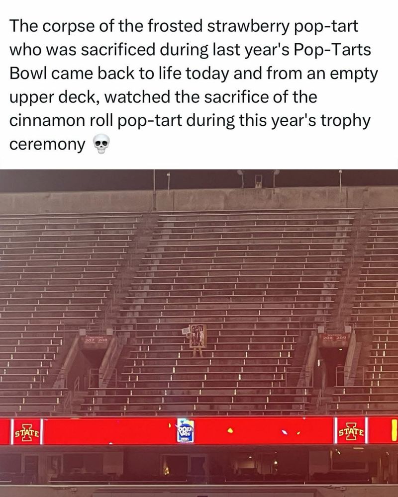 Picture of a Pop-Tart mascot sitting alone in the stands of the 2024 Pop Tart Bowl with the following caption: 
The corpse of the frosted strawberry pop-tart who was sacrificed during last year’s Pop-Tarts Bowl came back to life today and from an empty upper deck, watched the sacrifice of the cinnamon roll pop-tart during this year’s trophy ceremony