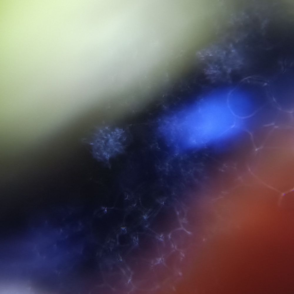 inside of a cateye marble