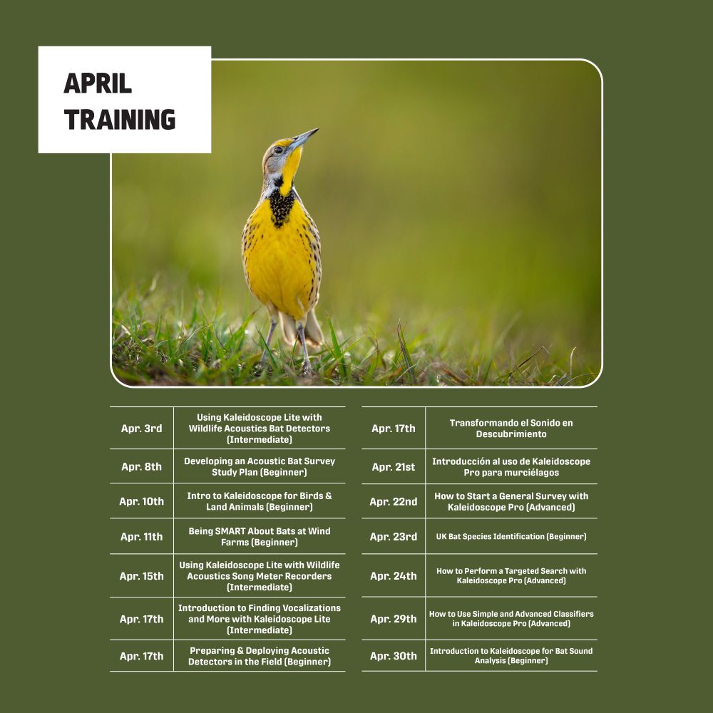 List of Wildlife Acoustics Virtual training dates with a Eastern meadowlark as a header image