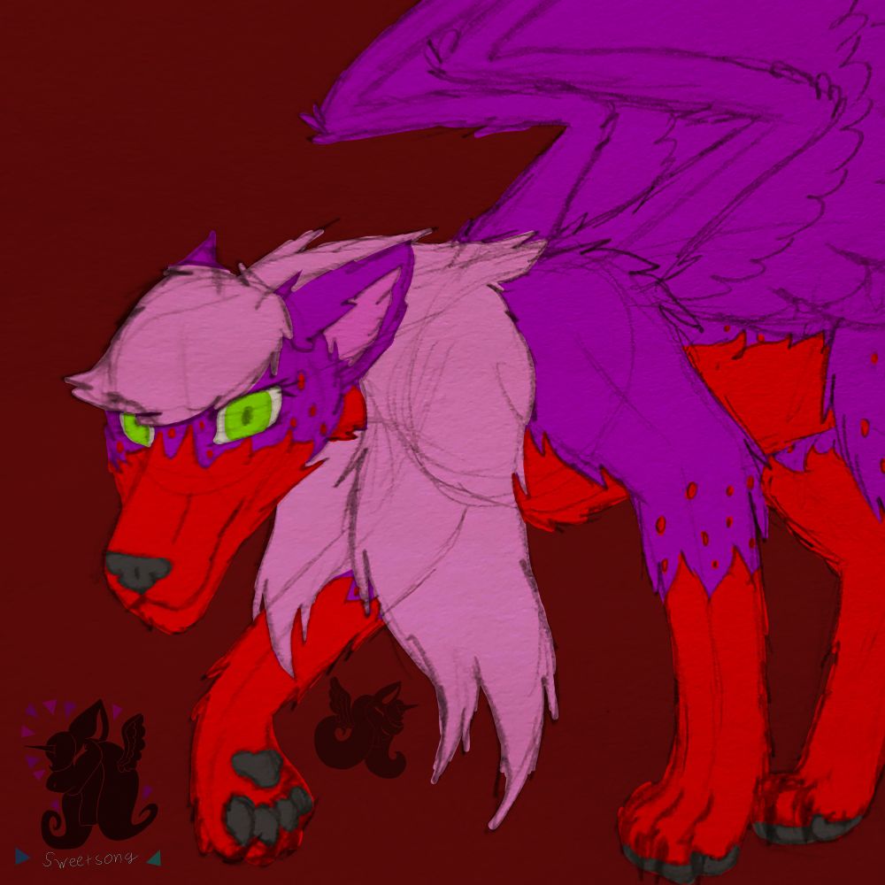 Sweetsong in their werewolf form. She looks ready to attack, stalking her prey, the viewer. She's purple and red with a pink mane and green eyes. She has large, feathered wings on her back. The art is a traditional sketch colored in digitally.
