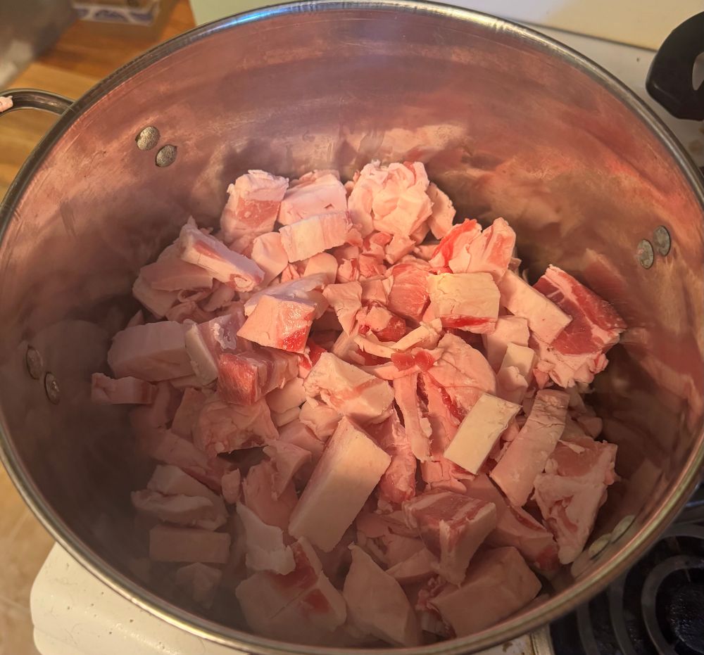 CW: Raw meat and animal fat
Image depicts cut animal fat with some meat still connected placed into a 12qt stock pot on a stovetop 