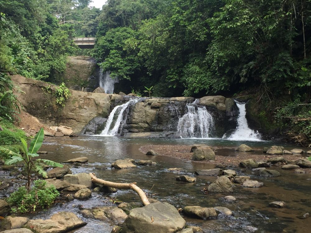 Main subject is a rocky, shallow pool of water with four small waterfalls flowing into  it from graduated heights, all surrounded by lush greenery, tropical plants and a prominent bare brach in the foreground. (Costa Rica)