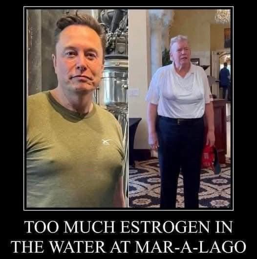 Image of the muskRat and the Dumpdiaper elderly man next to each other, their breasts are showing through the sweaty t-shirts, Gross...and, they might be bigger than mine...anyways, there's text underneath the wide side by side that reads 