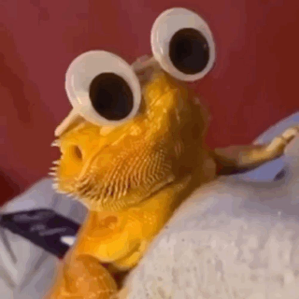 a bearded dragon wearing googly eyes and a hat is sitting on a bed .