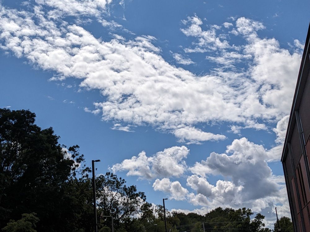 Photo of the sky showing white clouds, blue sky & trees in silhouette