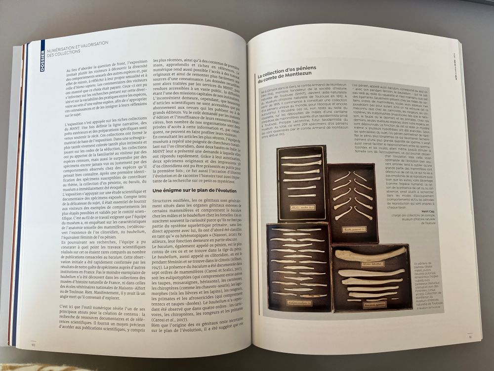 2 pages of article
Federica SPANI, Alexandre MILLE, Monica CAROSI, Henri CAP et Ali AKBARI, " La numérisation 3D de l’os clitoridien. Recherche et médiation à l’occasion de l’exposition Sex-appeal", La lettre de l'OCIM" n°210, 2025.

Text plus drawers containing penian bones from a private 19th century collection.
