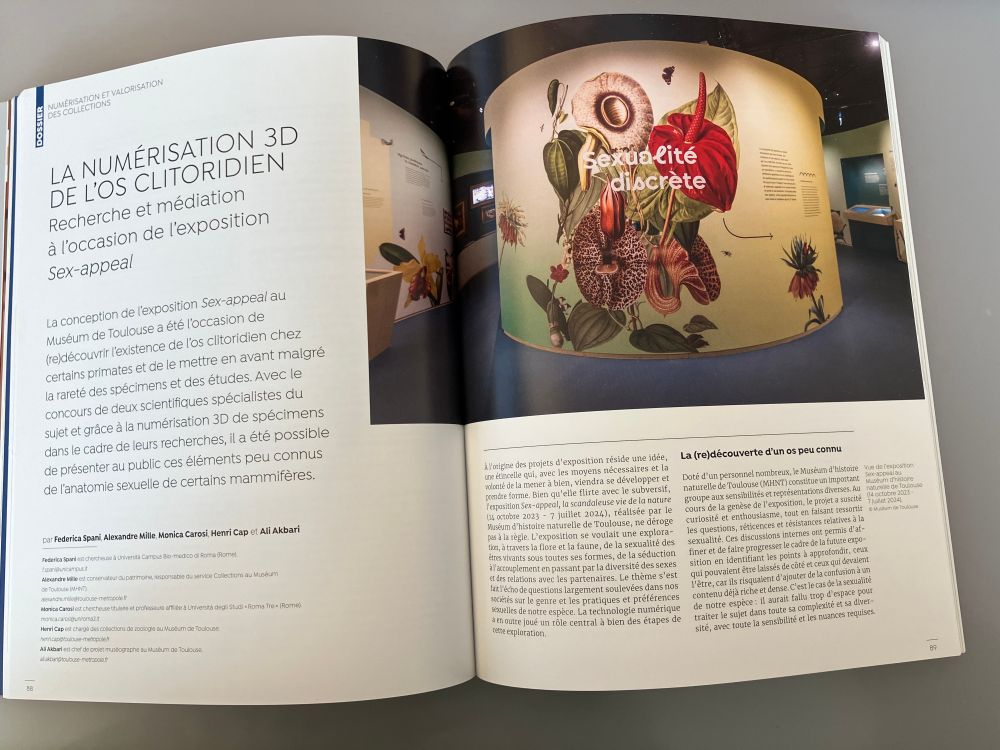 2 pages of article
Federica SPANI, Alexandre MILLE, Monica CAROSI, Henri CAP et Ali AKBARI, " La numérisation 3D de l’os clitoridien. Recherche et médiation à l’occasion de l’exposition Sex-appeal", La lettre de l'OCIM" n°210, 2025.