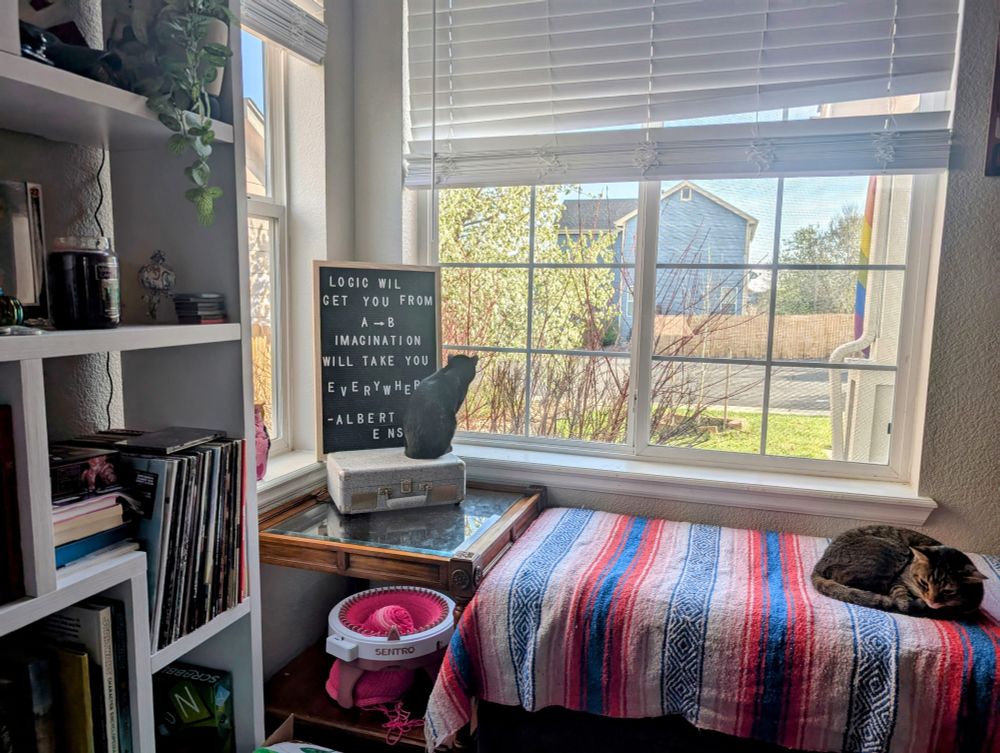 Picture out the front window of my living room, one black cat and one grey tabby are in the picture with several books and vinyls. 