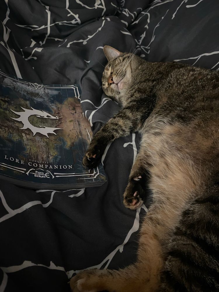 A napping cat curled up next to a book. The book titles the “Conquest Lore Companion” by Para Bellum Games