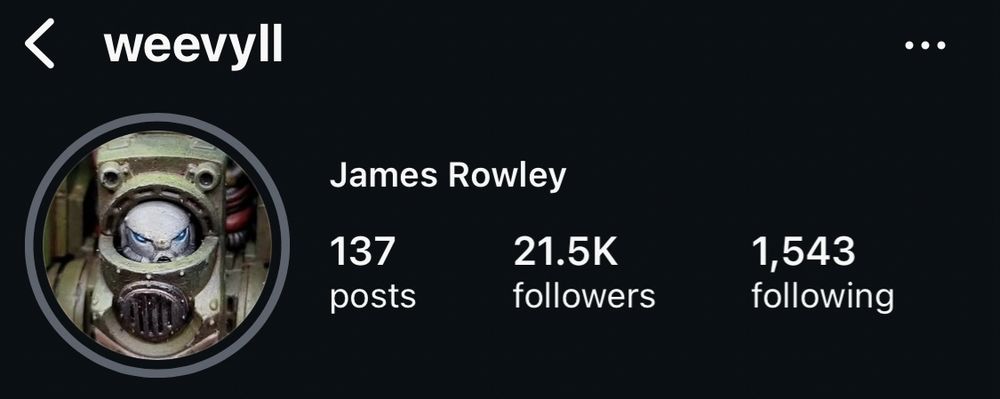 Picture of the Instagram account of James Rowley with the username weevyll