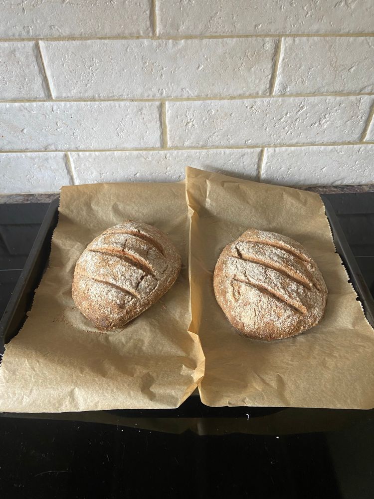Two loaves of sourdough bread, fresh from the oven. 