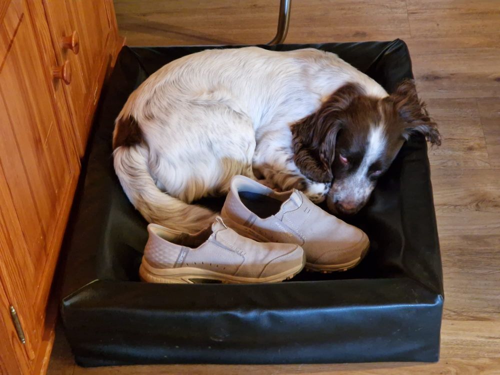 Kes ligt opgerold in zijn biabed met een paar lichte schoenen naast zich