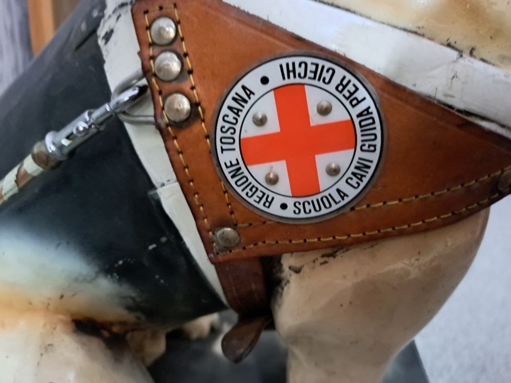 Detail van geleidetuig met hierop een rond logo met in het midden een rood kruis en hieromheen voornoemde tekst 
