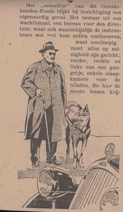Krantenknipsel met een tekening van een heer met stok en geleidehond (herder) met op de voorgrond een ouderwetse auto. Verder een aantal regels tekst