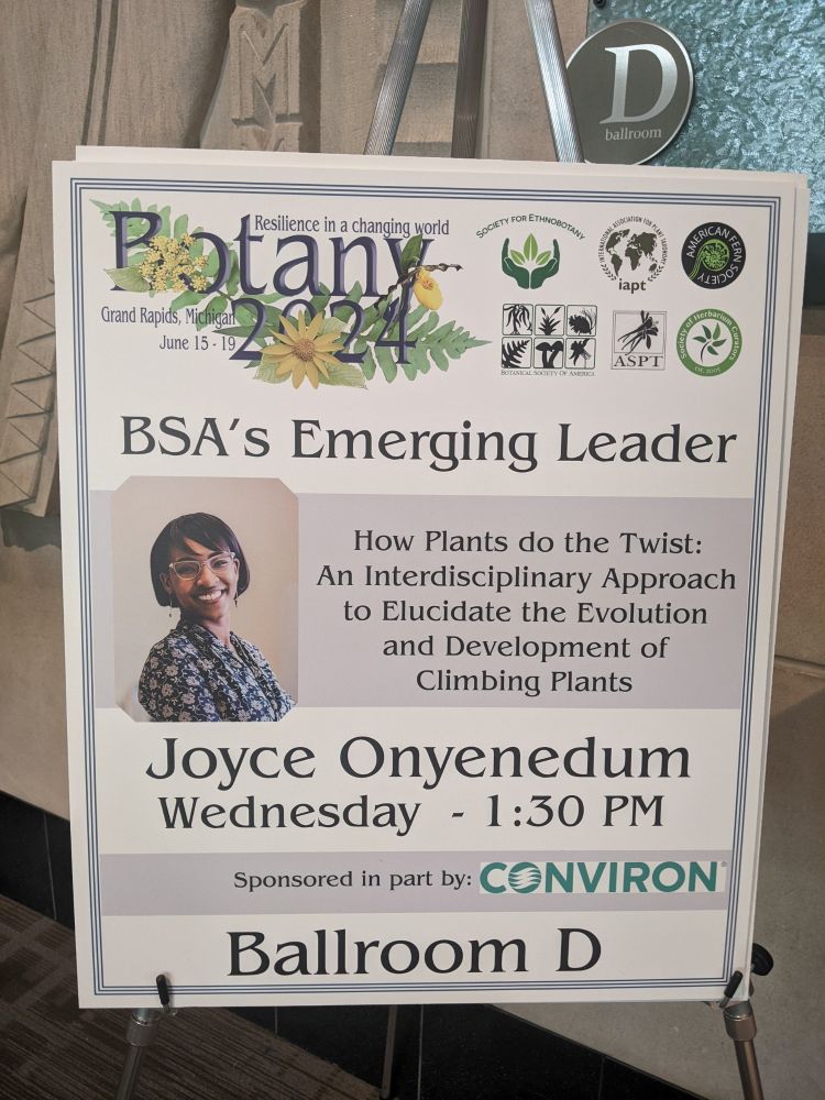 Dr. Joyce Onyenedum's talk poster.