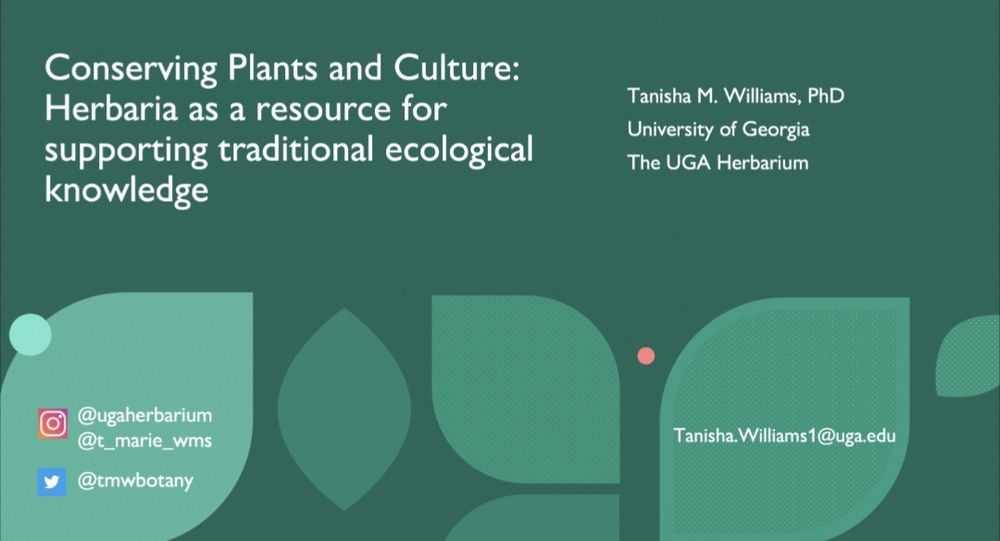 Green slide with talk title - conserving plants and culture: herbaria as a resource for supporting traditional ecological knowledge