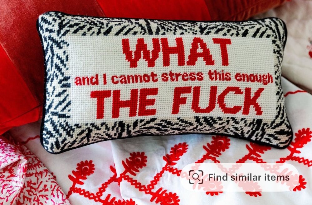 Red and white pillow embroidered with the words “ what—and I cannot stress this enough—the fuck”