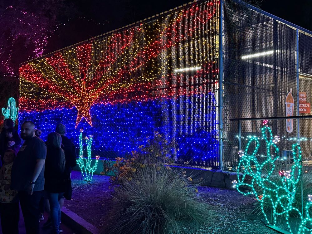 All images Christmas lights at the zoo