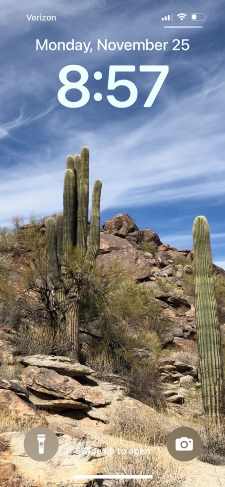 Rocky desert landscape with cacti 