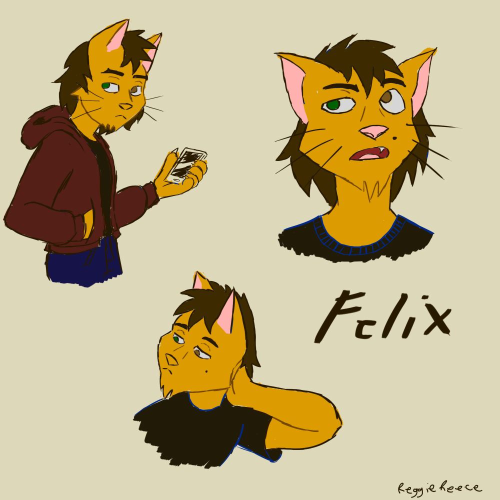 A page that features colored sketches of Felix, my anthropomorphic orange cat-lion oc