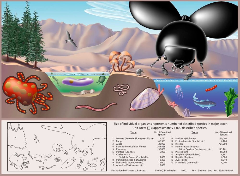Pleasing colorful illustration of a landscape populated by variously sized life forms. Each one is of a size proportional to its clade's species richness, so you have a massive beetle (insects) and enormous mite (arachnids) and one teeeeny tiny elephant representing mammals